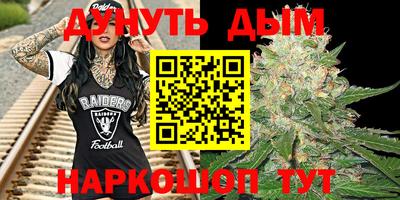 индика Будённовск
