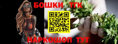 индика Будённовск