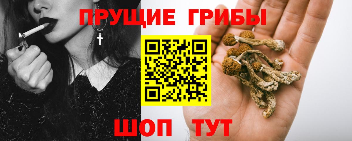 цены наркотик  Вход с VPN  Северск  Галлюциногенные грибы Magic Shrooms 