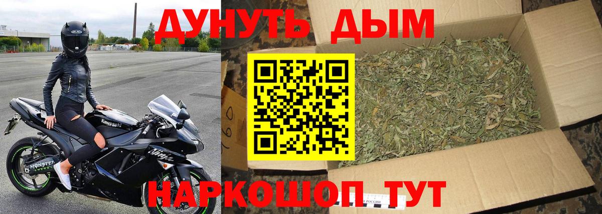 Бошки марихуана планчик  Вход с VPN  Марихуана семена  Северск 